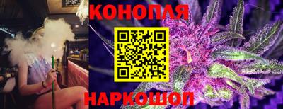 индика Кохма