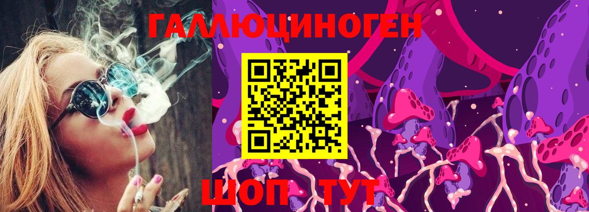 Новошахтинск  Галлюциногенные грибы Psilocybine cubensis  Вход с VPN 